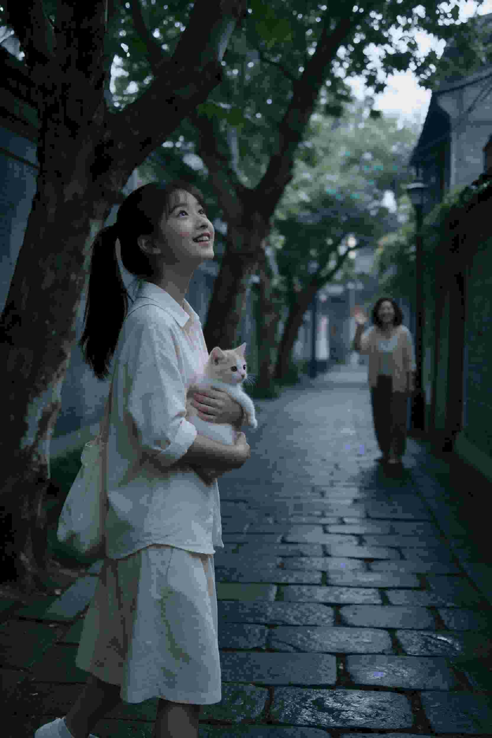 王朝